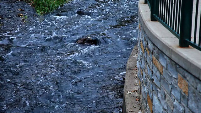 砖墙边流过的冷水视频下载