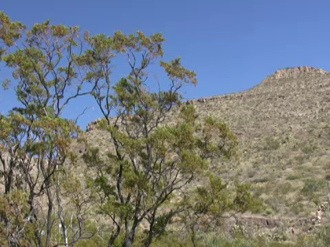 NTSC:木馏油和萨克拉门托山脉视频素材