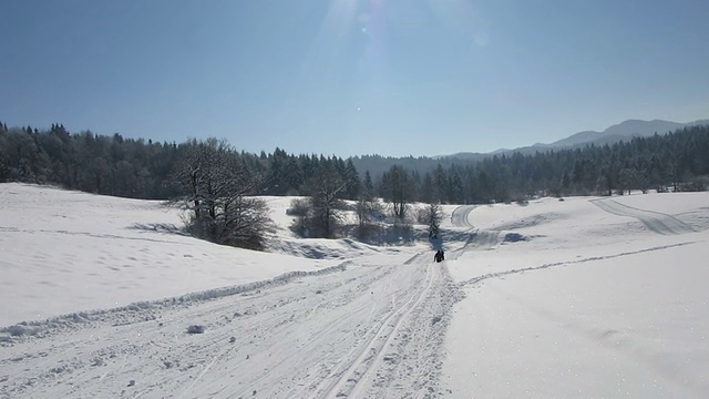 休闲越野滑雪下山视频素材