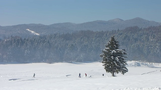 高清:人们越野滑雪的全景视频下载