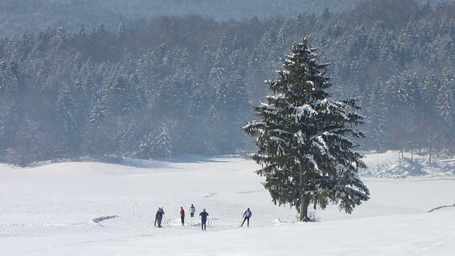 休闲越野滑雪视频下载