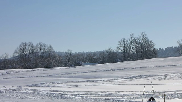 带着孩子玩雪橇的父亲视频素材