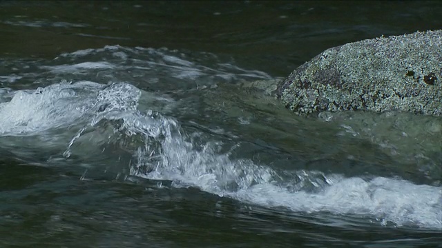 慢动作的急流，水冲过岩石在河里视频素材