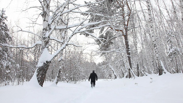 人走在雪林上视频素材