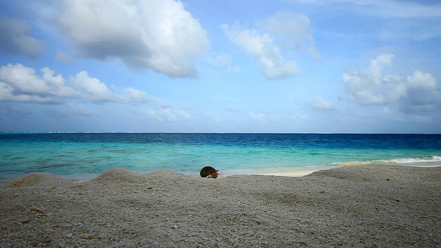 海滩视频素材