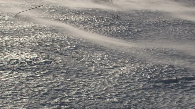 风和雪——风和雪视频素材