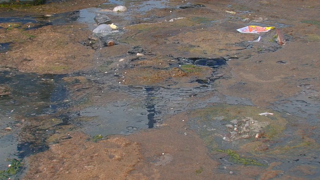 污水流入大海视频素材