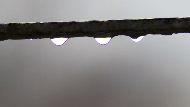 水滴在雨中滴视频素材