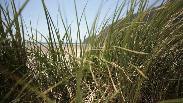 俄勒冈州海岸视频素材