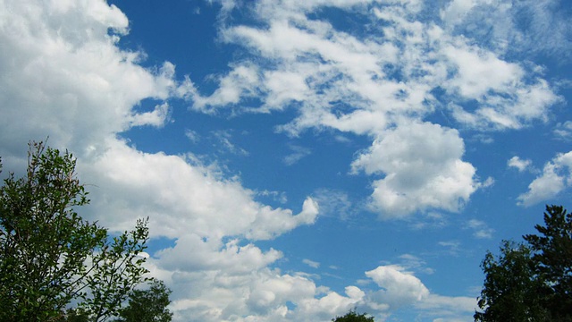 蔚蓝的天空与积云和树木的时间流逝视频素材