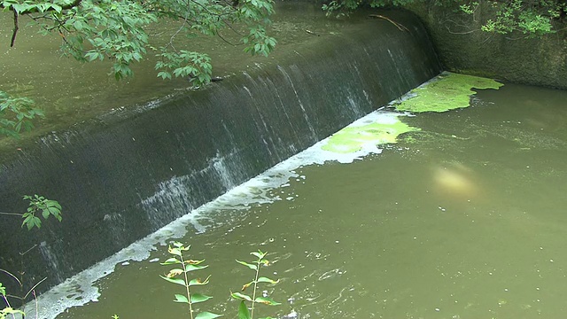 的水墙视频素材