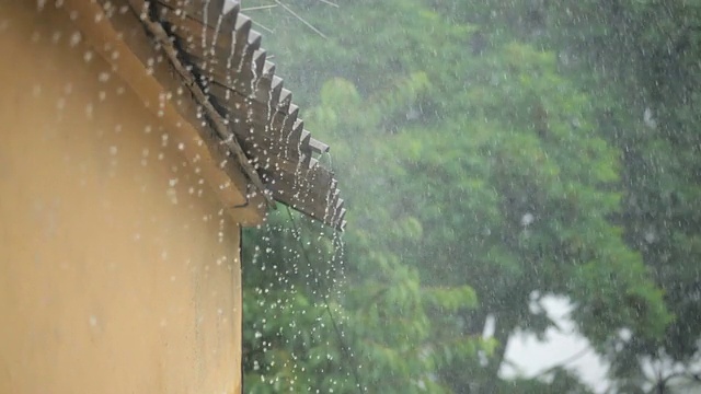 市内有暴雨视频素材