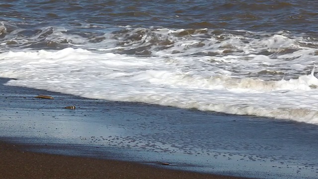 海浪视频素材