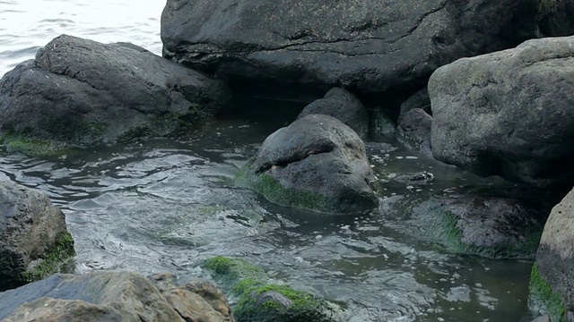 废物流入大海视频素材