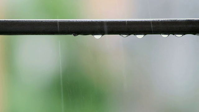 雨滴视频素材