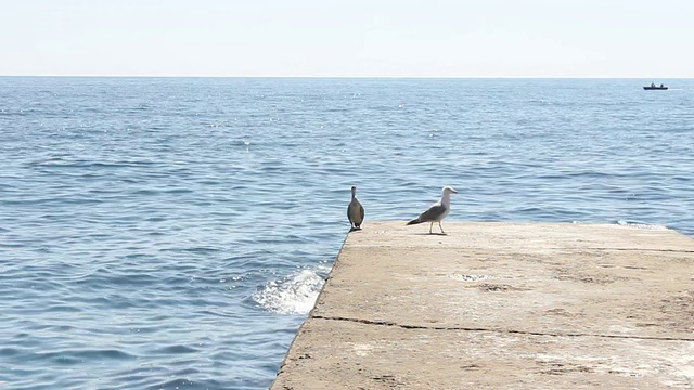 海景观。视频素材