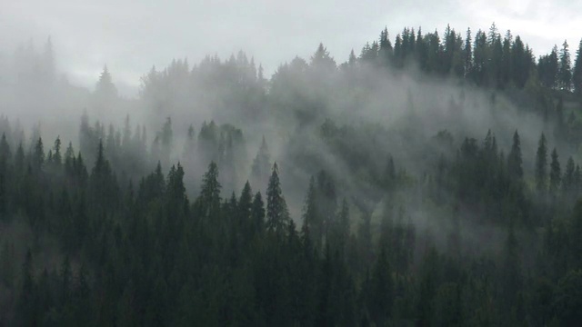 喀尔巴阡山脉中移动的雾的时间周期视频下载