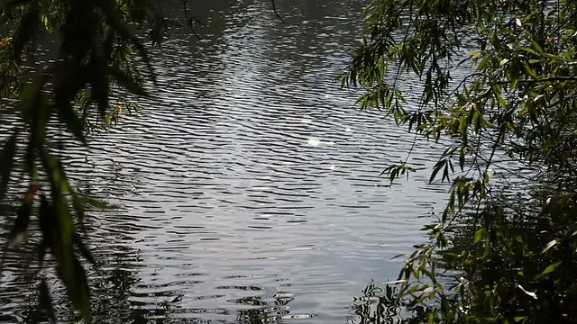 水面上的阳光反射视频素材