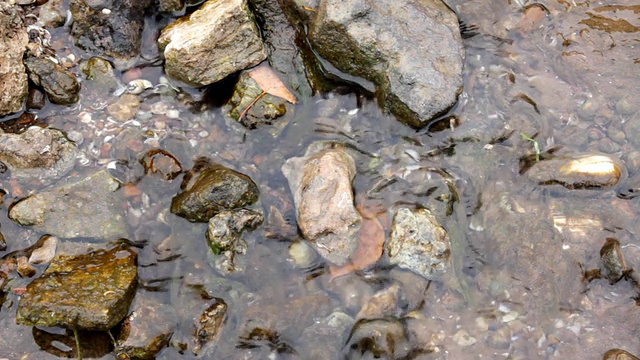 流动的水流视频素材