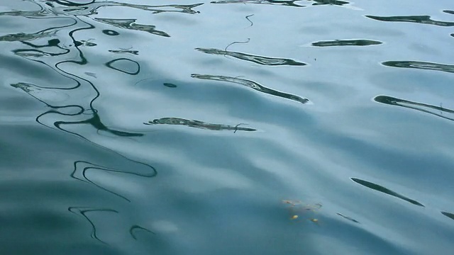 卡特琳娜港清澈的海水视频下载