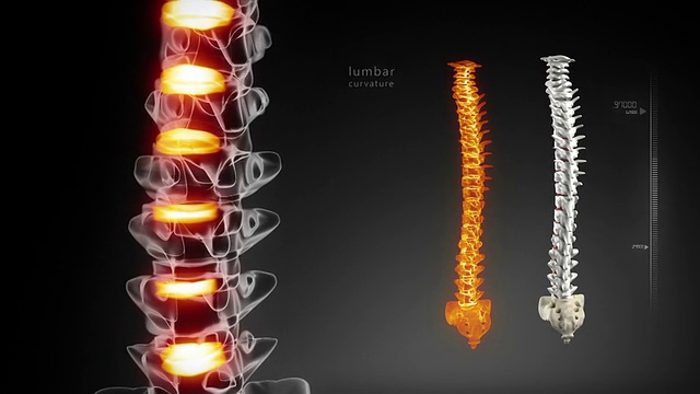 人体脊柱医学扫描视频素材