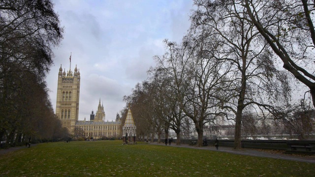 英国议会大厦。维多利亚塔花园视频素材