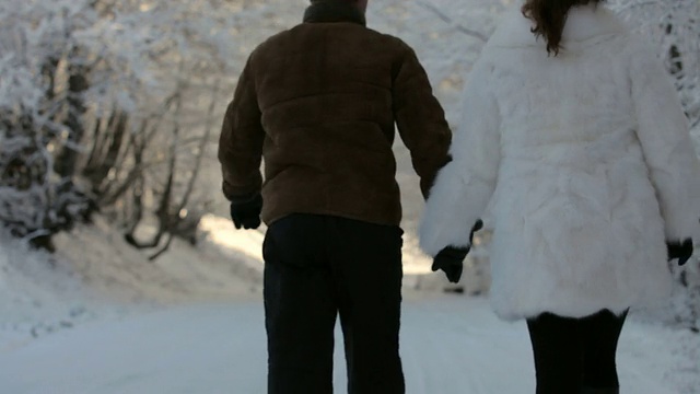 雪走视频素材