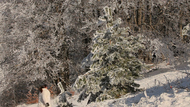 一家人在打雪仗视频素材