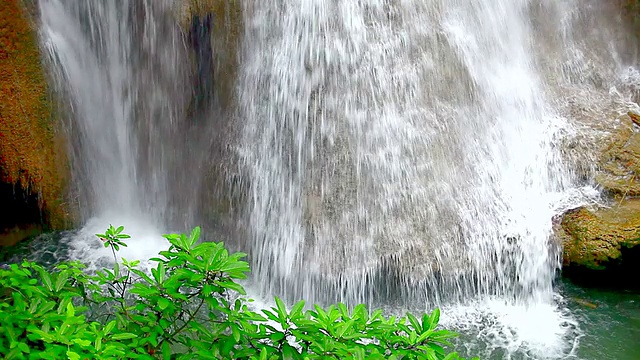 热带雨林中的瀑布视频下载