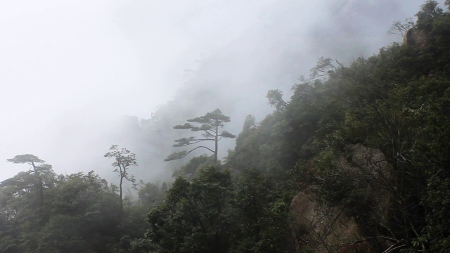 雾山视频素材