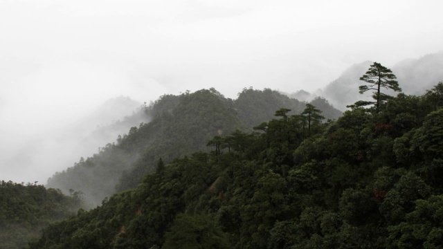 雾山视频素材