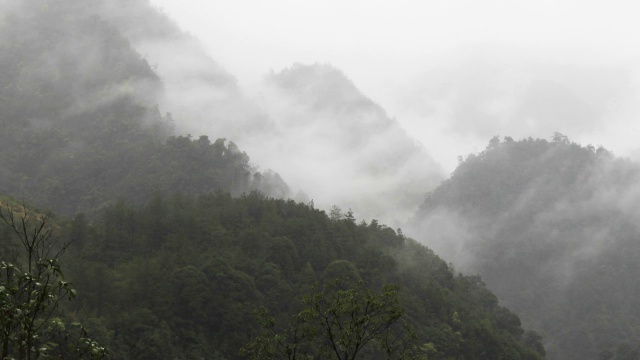 雾山视频素材