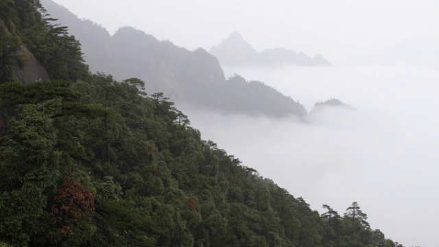 雾山视频素材