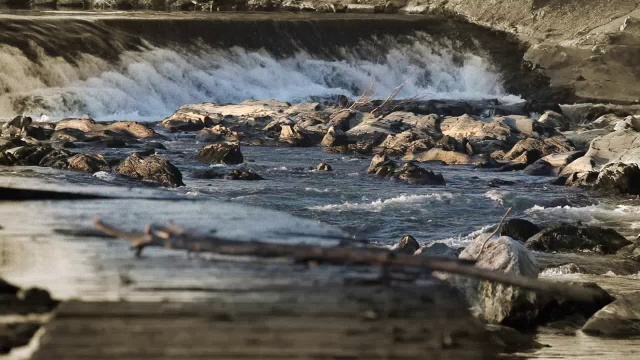 野生河视频素材