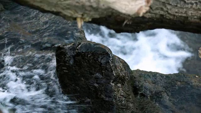 河流特写视频素材