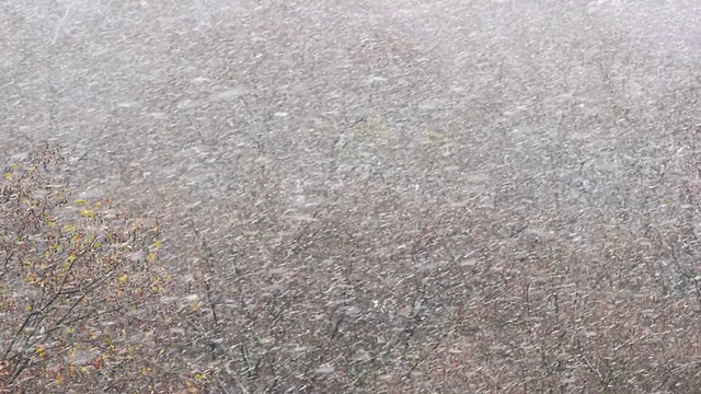 暴风雪视频素材