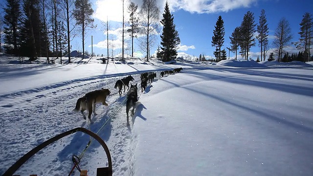 雪橇视频下载