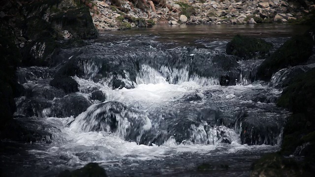 野生水运行视频素材