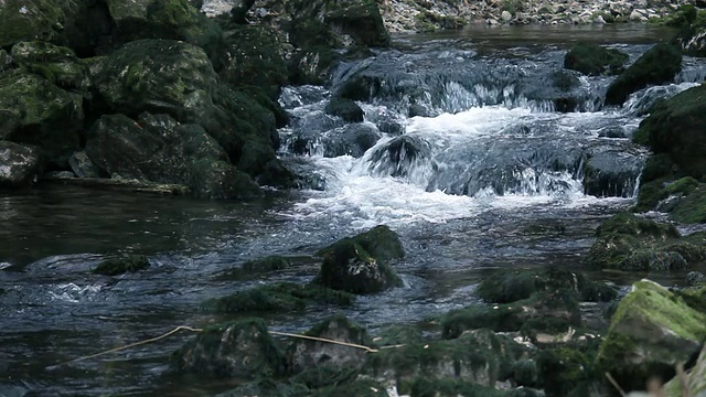 野生水运行视频素材