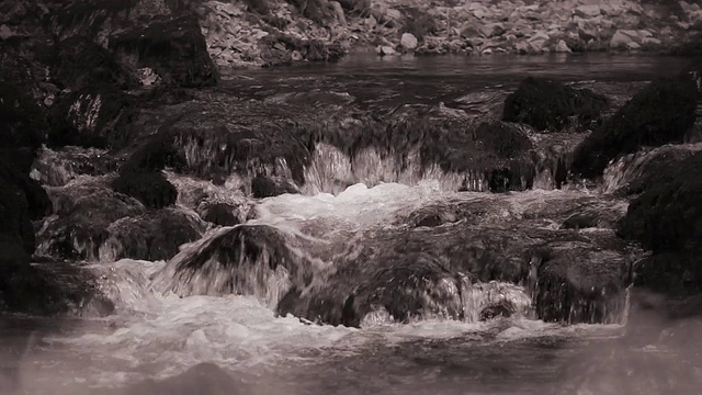 野生水急流视频素材