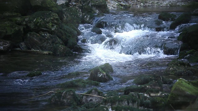 野生水急流视频素材