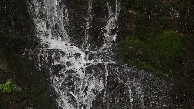 瀑布，森林河视频素材