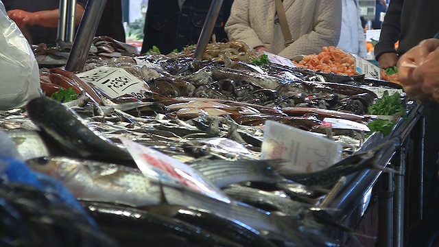 意大利鱼市场视频下载