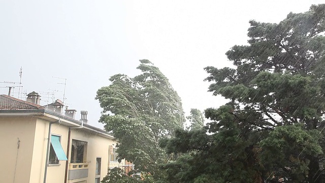 城市中的暴雨视频素材