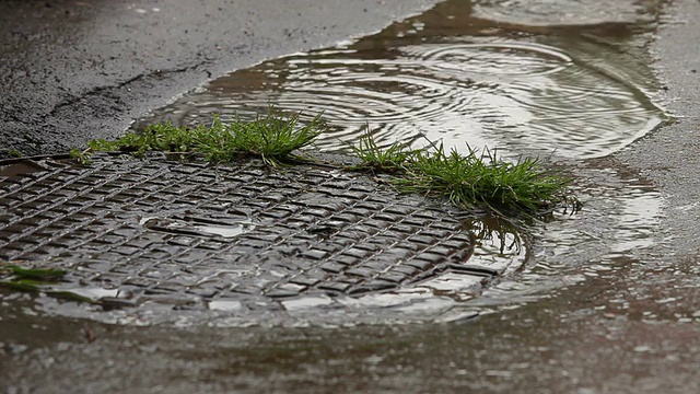 雨视频素材