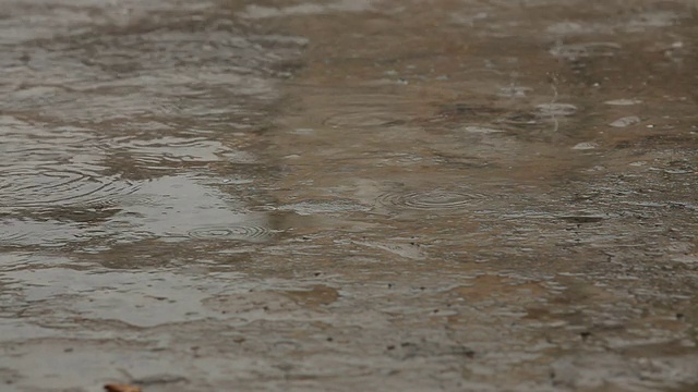 大雨视频素材