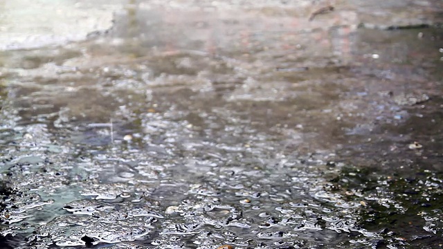 雨滴视频素材