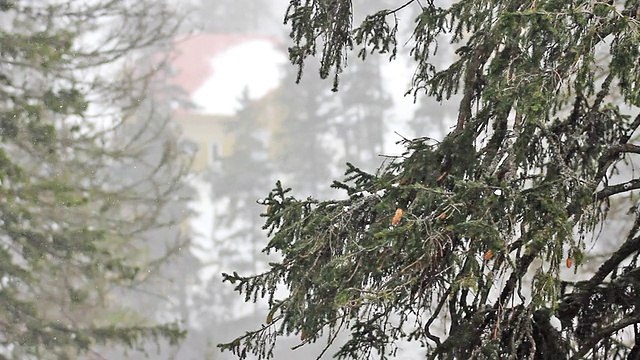 暴风雪视频素材