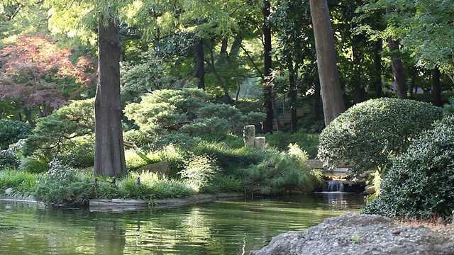 和平花园。视频素材