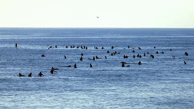 冲浪者团体-等待海浪视频素材